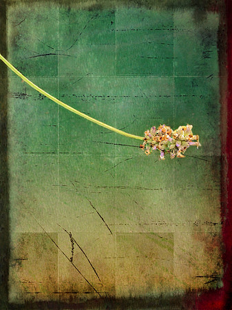 Floral Still Life